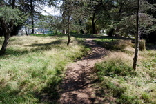 Enlarge photo 41