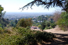 Enlarge photo 39