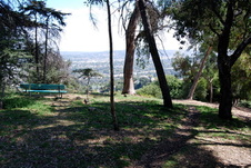 Enlarge photo 37