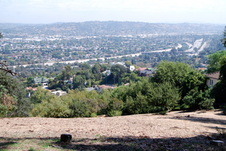 Enlarge photo 35