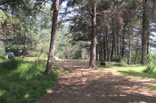 Enlarge photo 34
