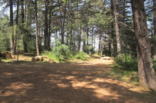 Enlarge photo 25