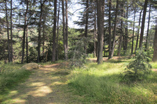 Enlarge photo 24