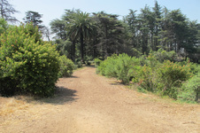 Enlarge photo 23
