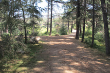Enlarge photo 22