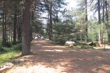 Enlarge photo 33