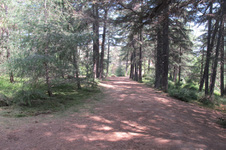 Enlarge photo 32