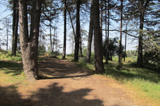 Enlarge photo 31