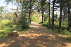 Enlarge photo 30