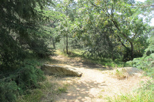 Enlarge photo 29