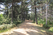 Enlarge photo 28