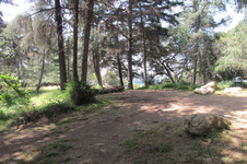 Cedar Grove