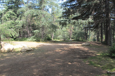Enlarge photo 26