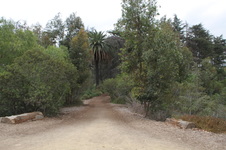 Enlarge photo 1