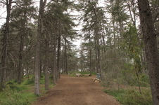 Enlarge photo 3