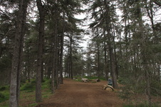 Enlarge photo 4