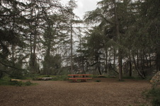 Enlarge photo 5