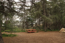 Enlarge photo 11