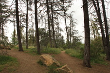 Enlarge photo 12