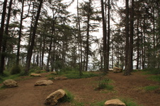 Enlarge photo 13