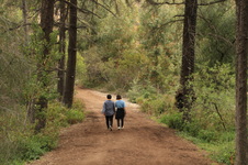 Enlarge photo 14