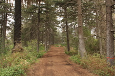 Enlarge photo 2