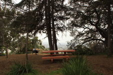 Enlarge photo 15