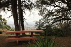 Enlarge photo 16
