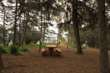 Enlarge photo 18
