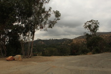 Enlarge photo 20