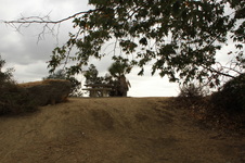 Enlarge photo 19