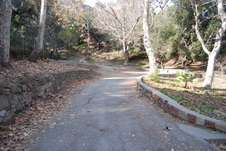 Old Zoo Trail - Griffith Park