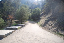 Enlarge photo 7