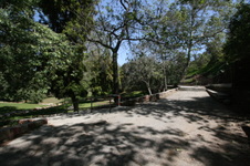 Enlarge photo 26