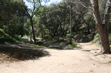Enlarge photo 27