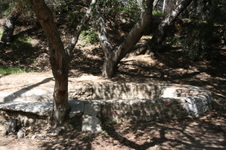 Enlarge photo 28