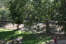 Enlarge photo 31