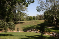 Enlarge photo 33