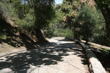 Enlarge photo 34
