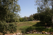 Enlarge photo 35
