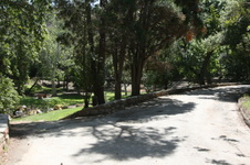 Enlarge photo 37