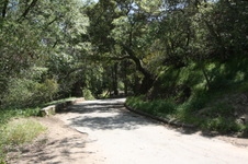 Enlarge photo 39