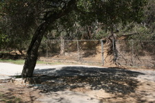 Enlarge photo 41