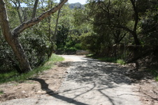Enlarge photo 43