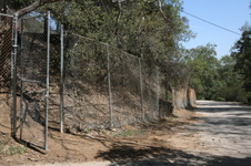 Enlarge photo 45