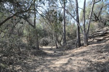 Enlarge photo 9
