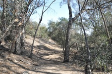 Enlarge photo 10