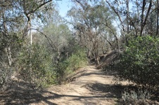 Enlarge photo 12