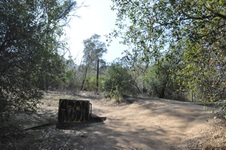 Enlarge photo 13