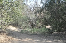 Enlarge photo 14